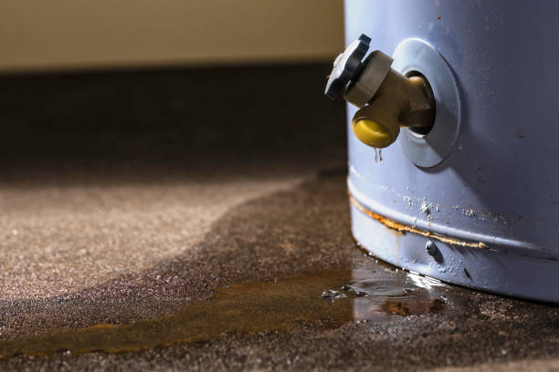 Best Carpet water damage restoration  in El Valle De Arroyo Seco, NM