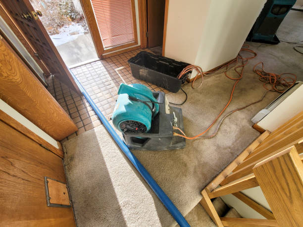 Best Sewage cleanup and water damage restoration  in El Valle De Arroyo Seco, NM