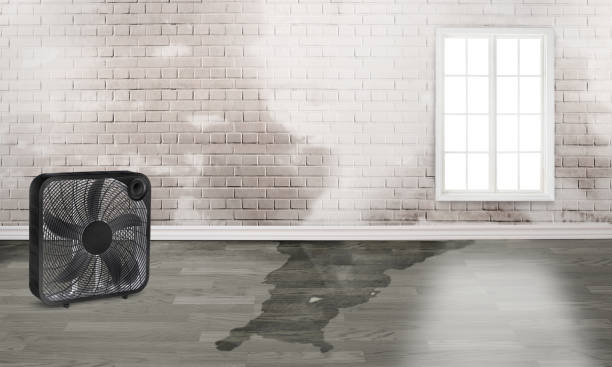 Best Ceiling water damage repair  in El Valle De Arroyo Seco, NM