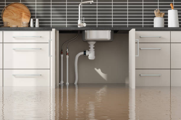 Best Basement water damage restoration  in El Valle De Arroyo Seco, NM